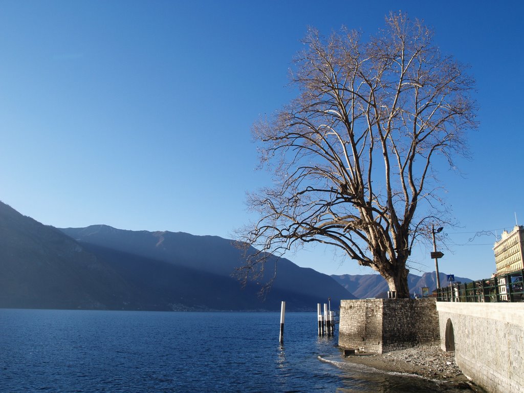 Lago di como by sary.it