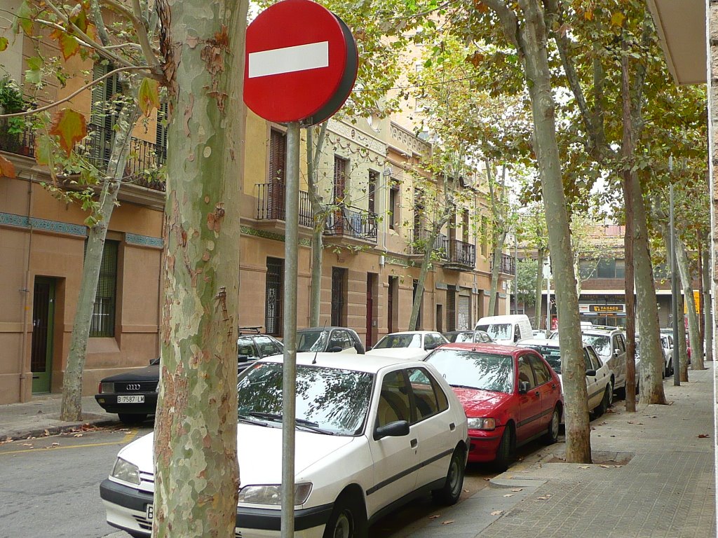 Les corts Carrer del Comte de Güell by Rodolfo Green