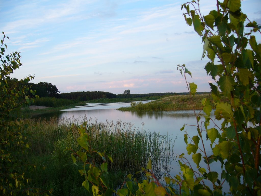 Gmina Góra, Poland by admonika