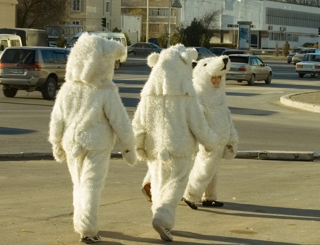 White bears in Aktau by moryachoc