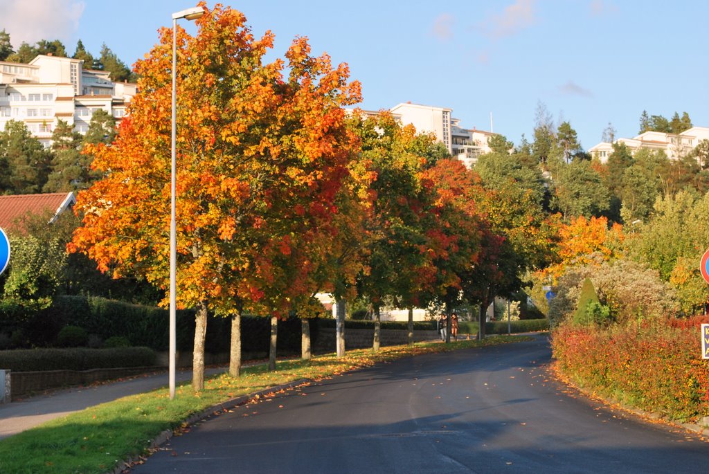 Alingsås,Sweden,2008 by Despina Mousafiri