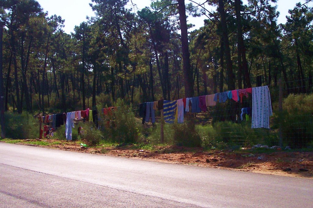 Roma laundry. by femjanhen