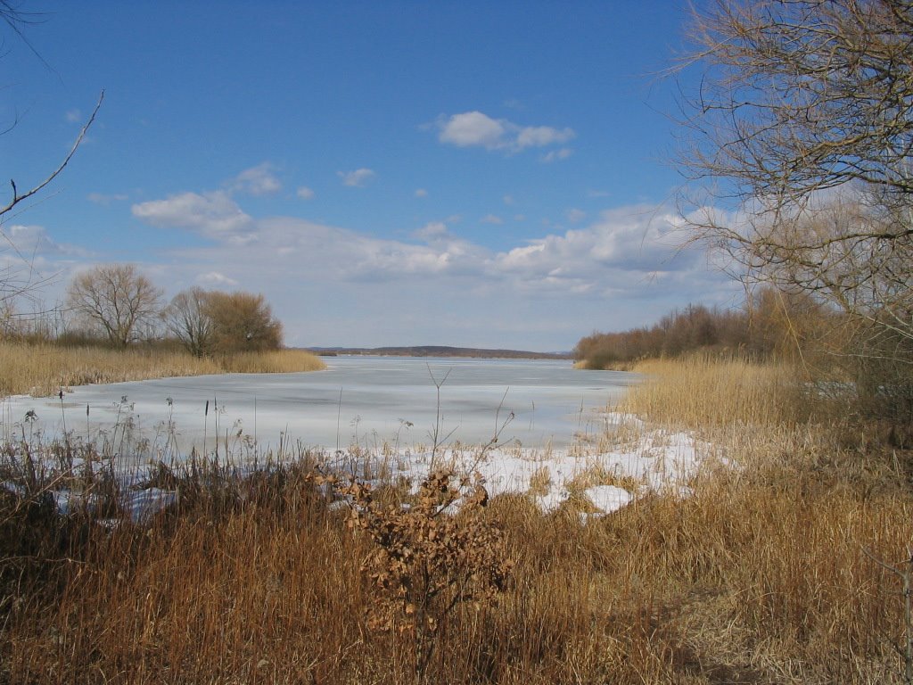 Kis Balaton by János Horváth (renau…