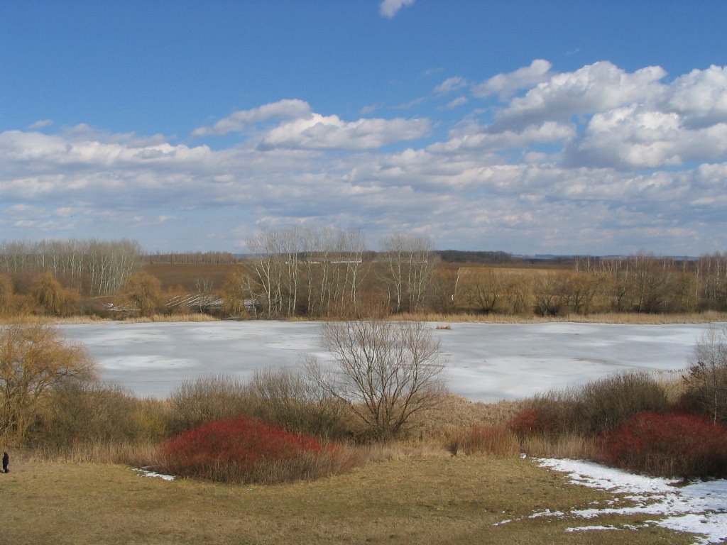 Kis Balaton by János Horváth (renau…