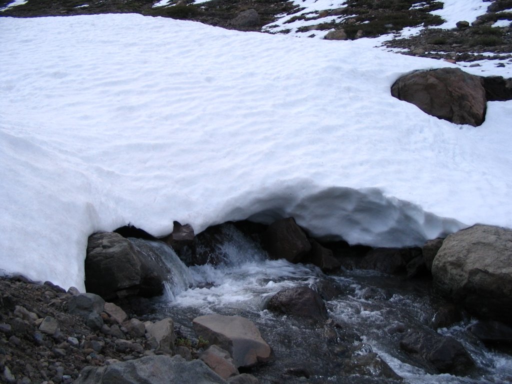 Arroyo Nevado by cristian_salinas