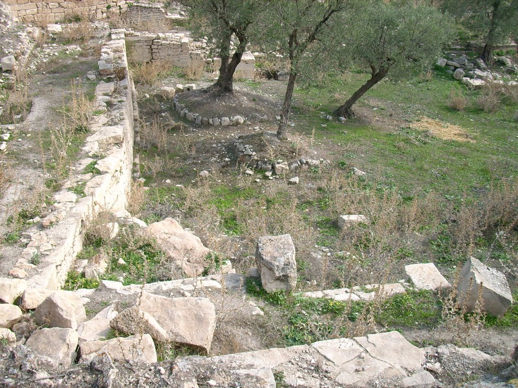 Thugga (Dougga) by Malte Scholz