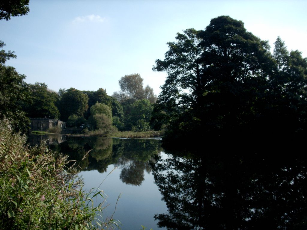 River Aire at Kirkstall Abbey by Keith Ruffles