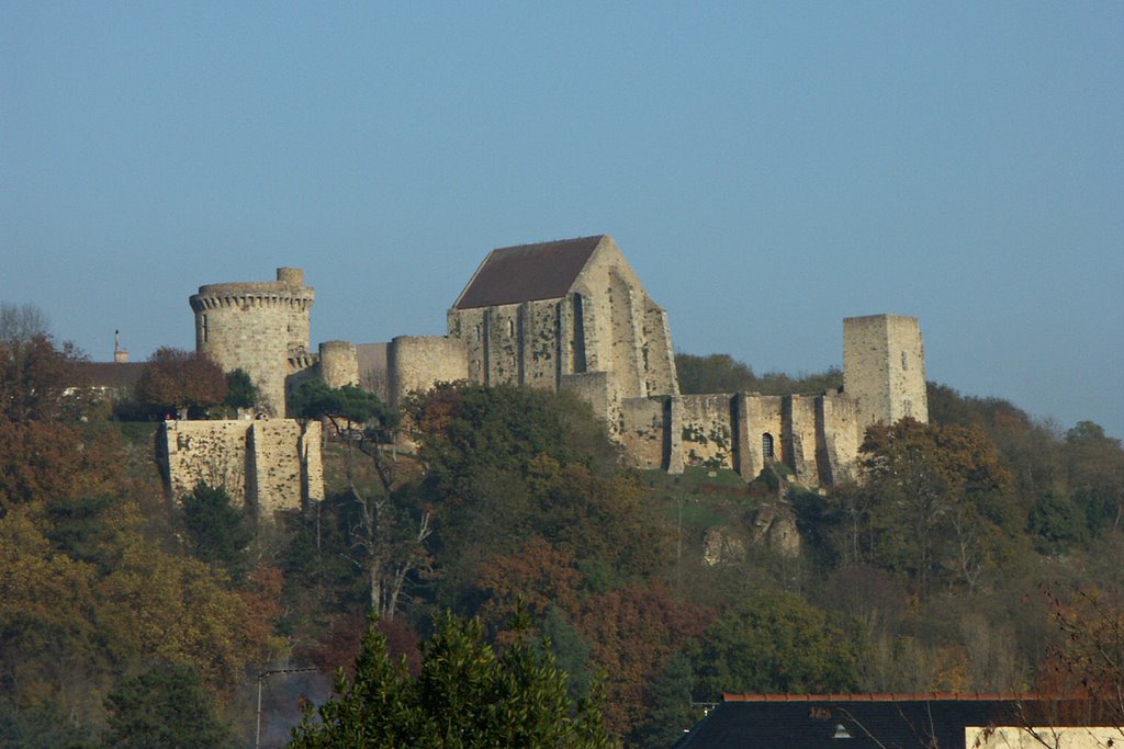 Chateau de La Madeleine by zepelin78