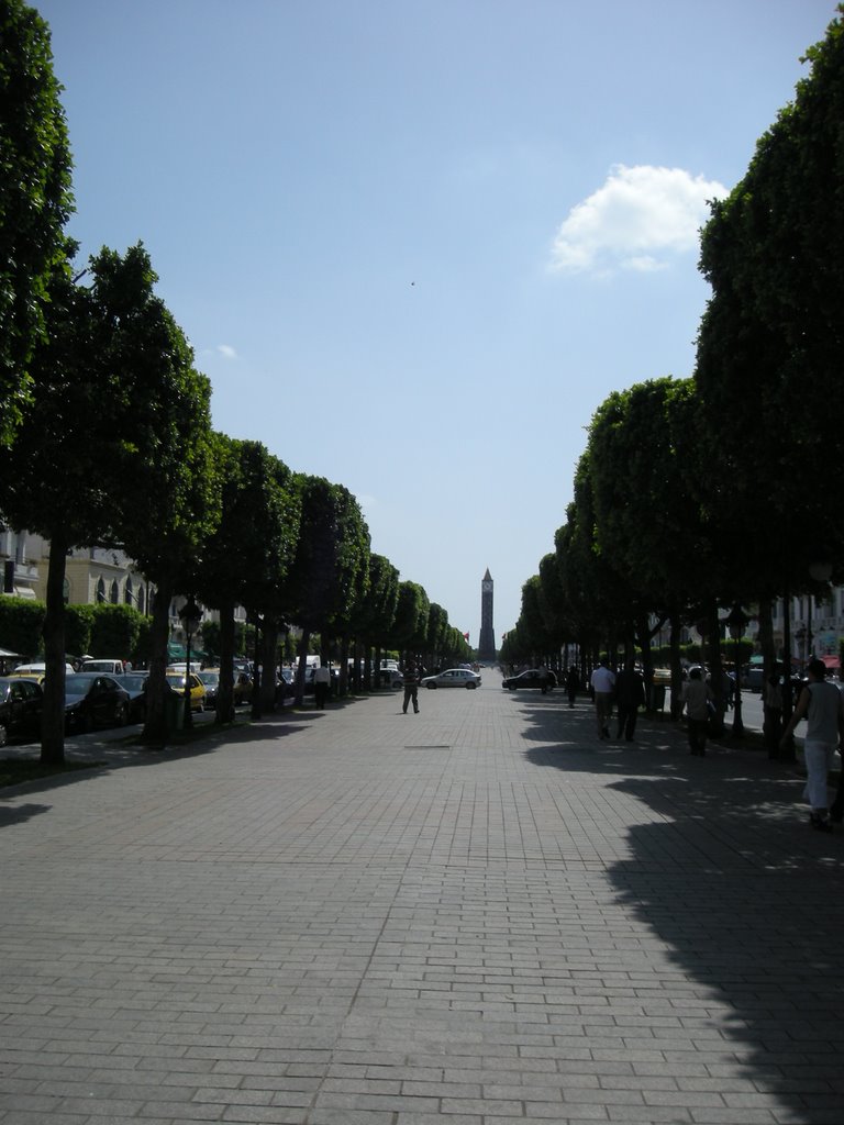 Avenue Habib Bourguiba by KarlG