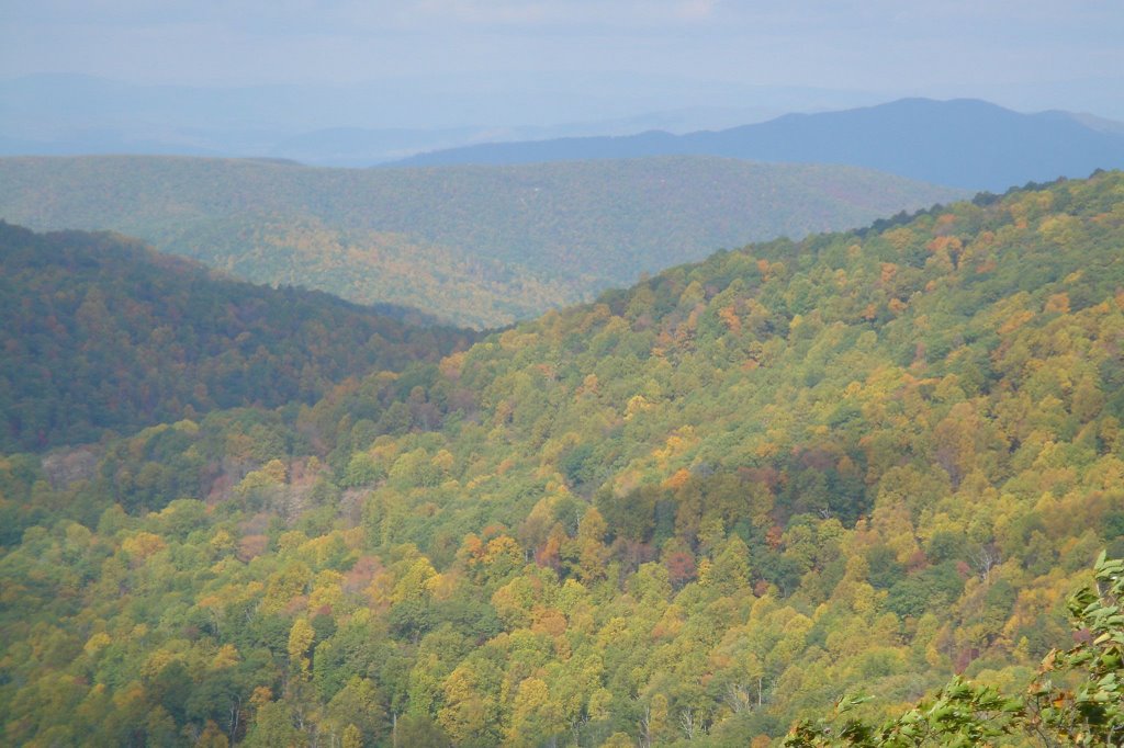 View going up the Sharp Top Trail by DieselDucy