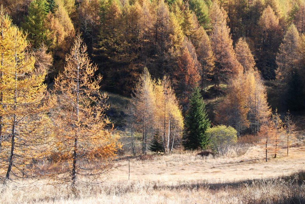 Couleurs de Tarentaise by yves floret