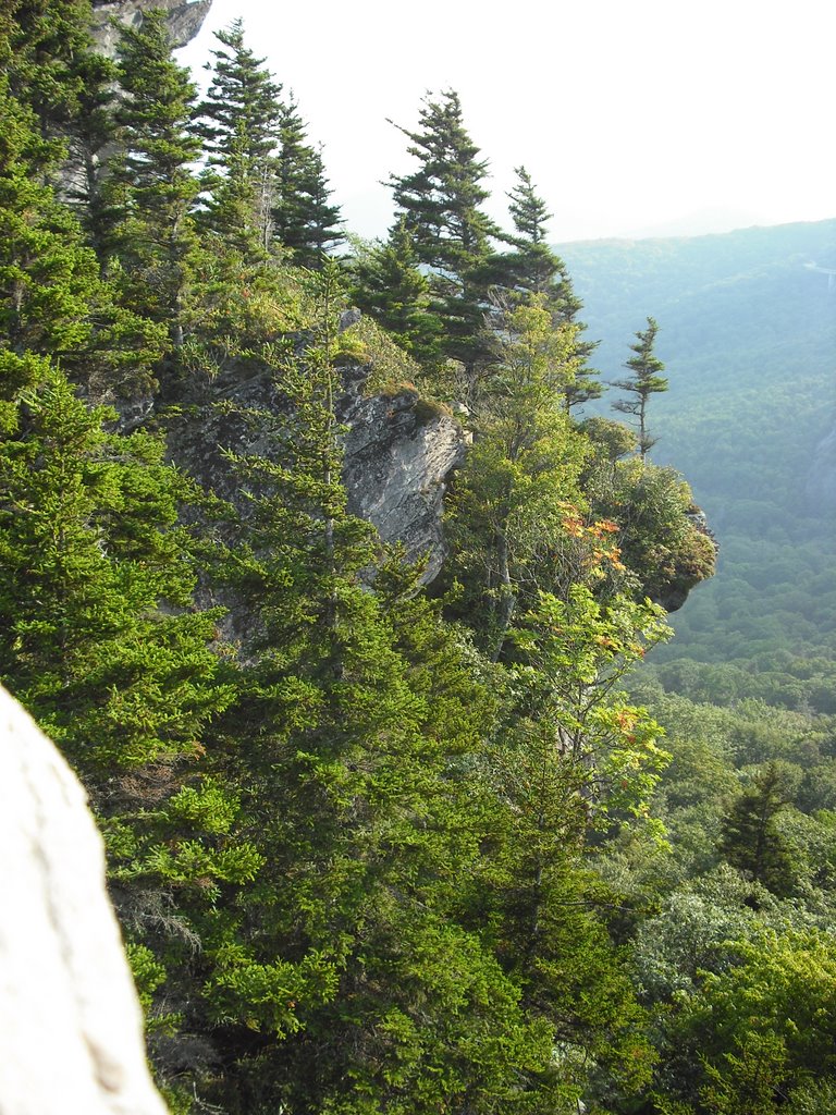 Rough Ridge Trail by jenpost