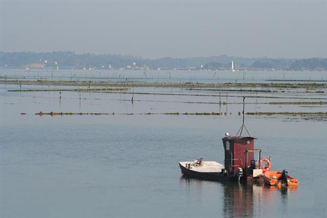 Ostréiculture dans le Morbihan by Bru42