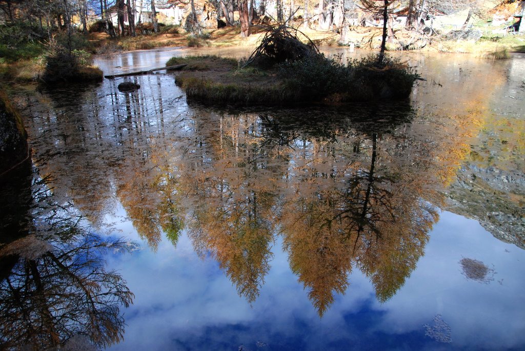 Reflets au Monal by yves floret