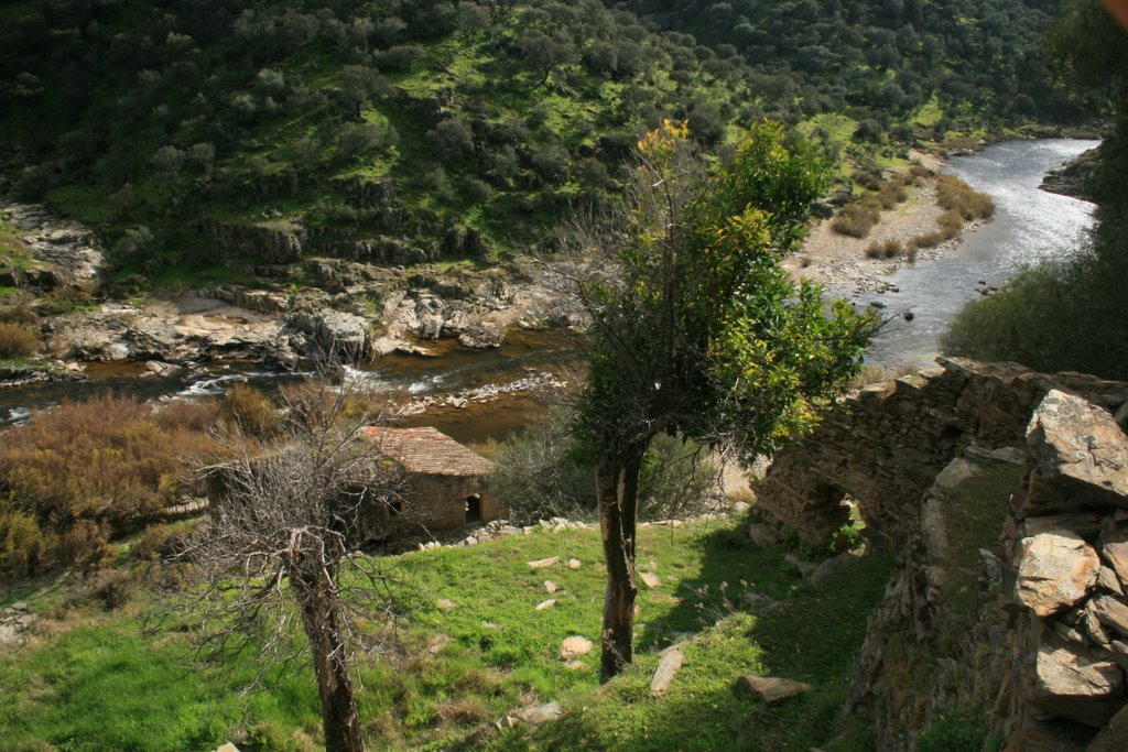 Molino de Tio Quilino, rio Almonte, Monroy by O Blate