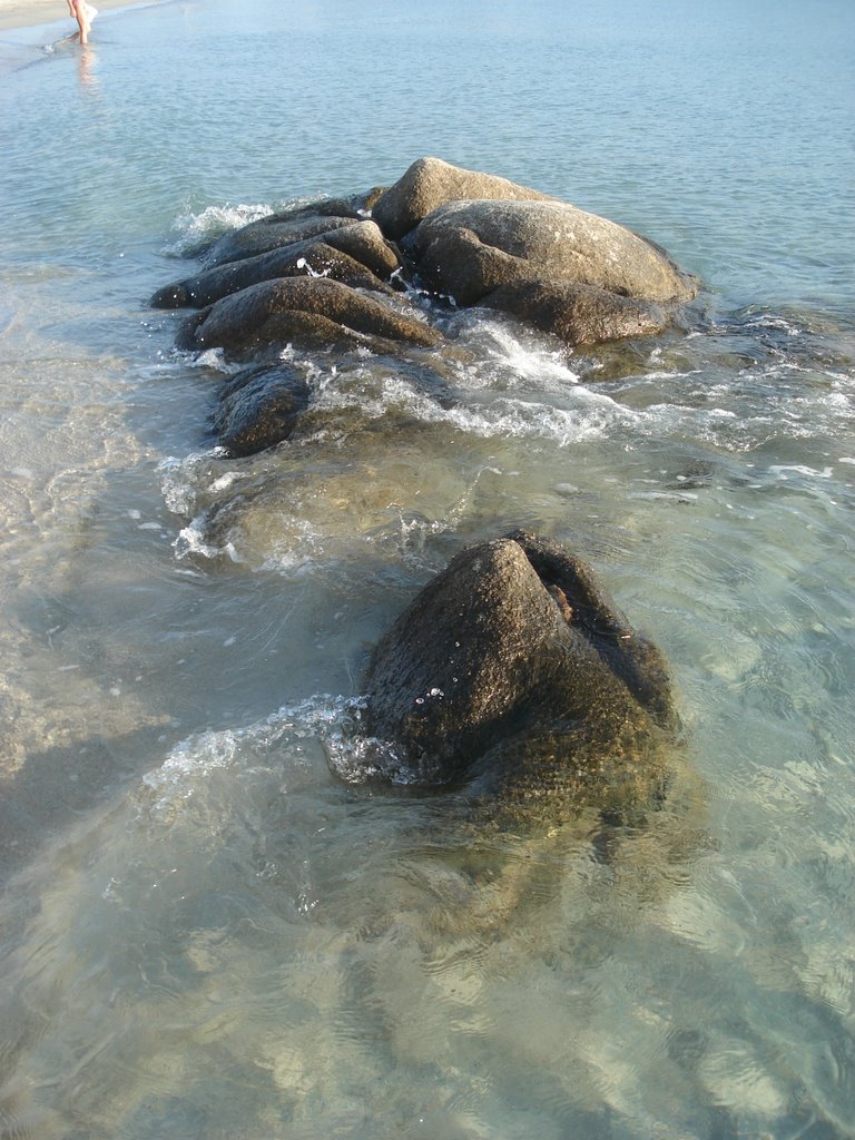 Spiagga simius by Jörg Gyger