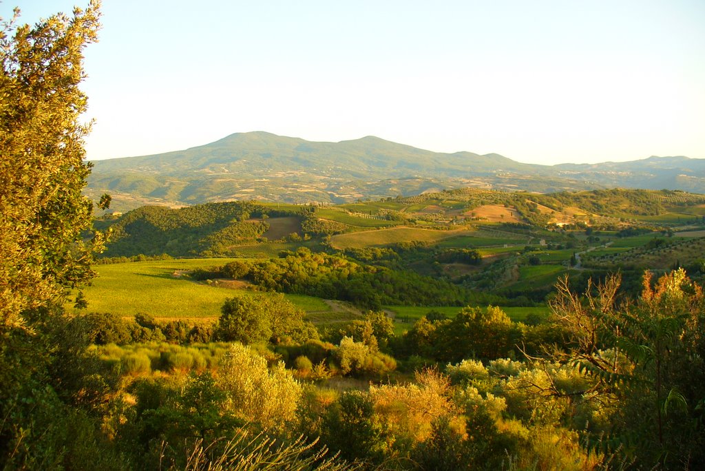 Tuscan Landscape by Marcowley