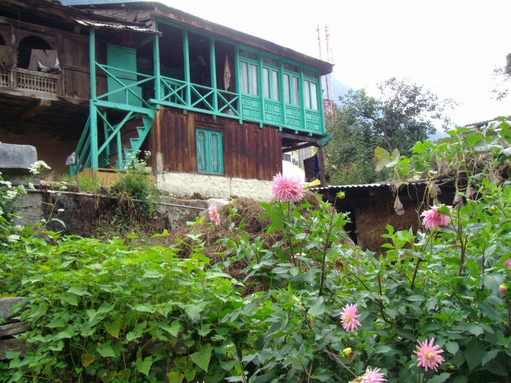 Cottage at Vashisht by atarax