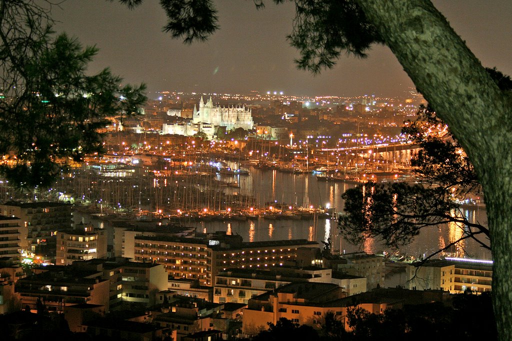 Vista nocturna de Palma by David Sánchez Núñez