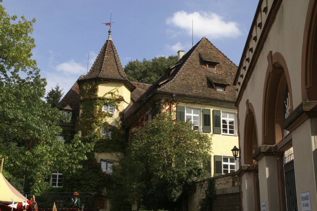 Haus in Staufen by Peter Breuer