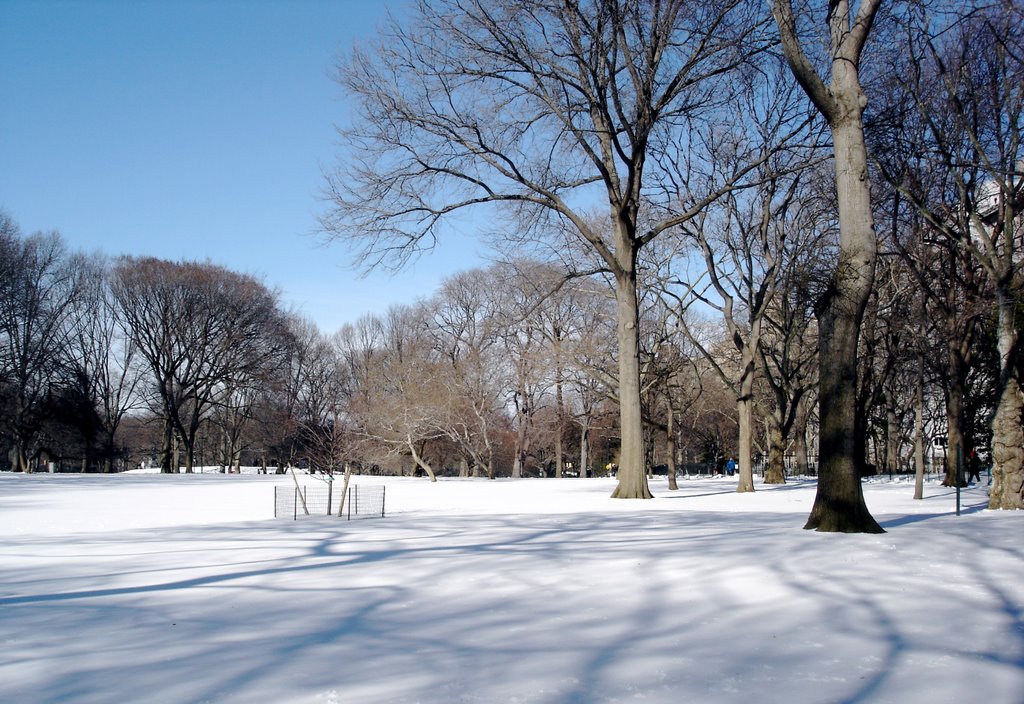 Central Park by Michel Gervais (Cyan…