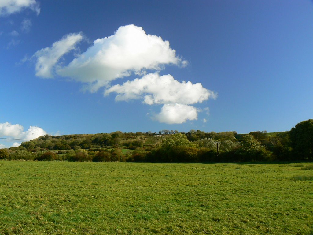 Farmland east of Christ Church, Broad Town (E) by Brian B16