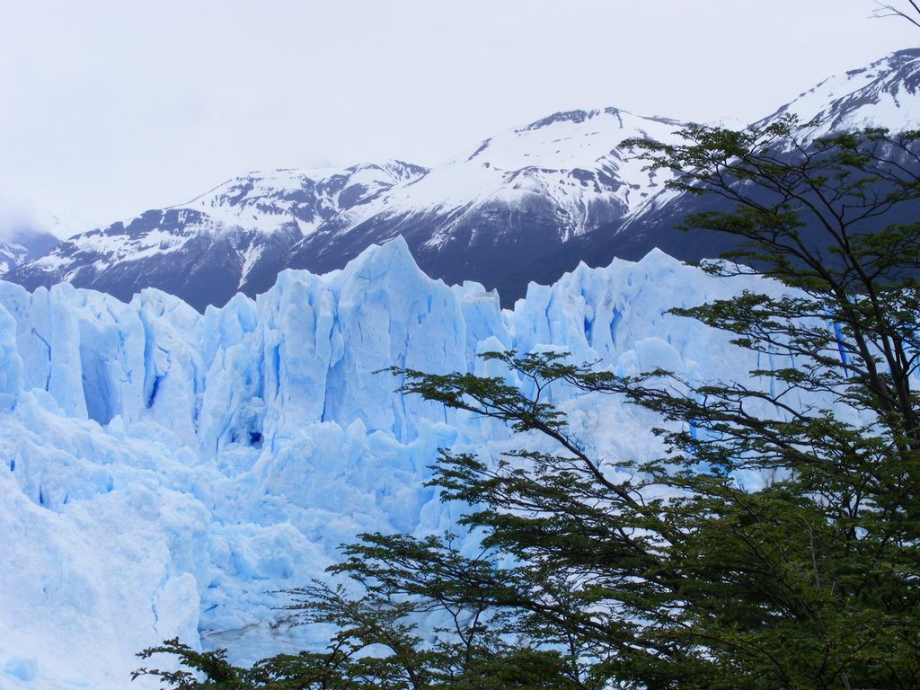 Glaciar P.Moreno by claudio diego Coto