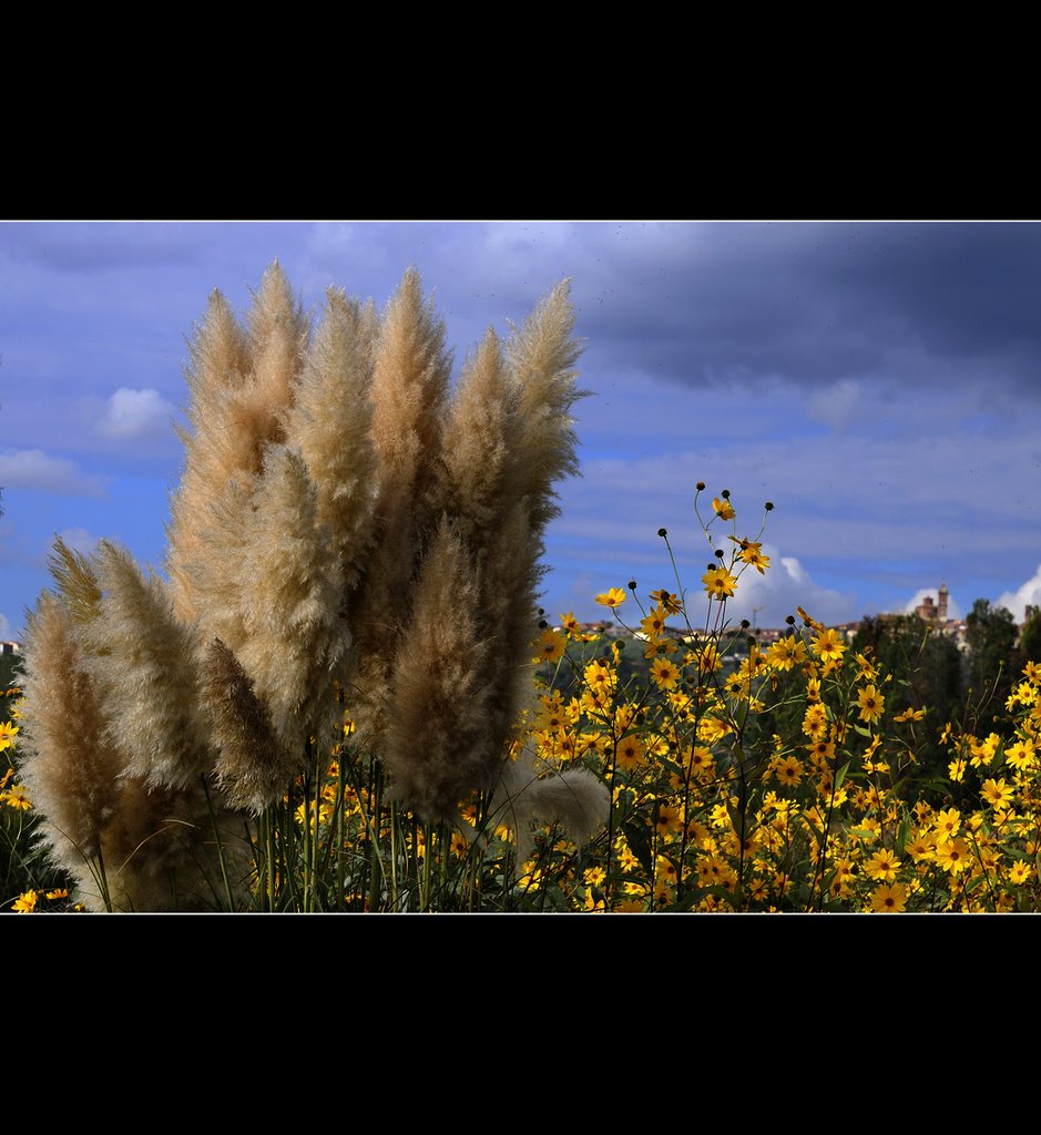 53048 Sinalunga, Province of Siena, Italy by © elvio fontana