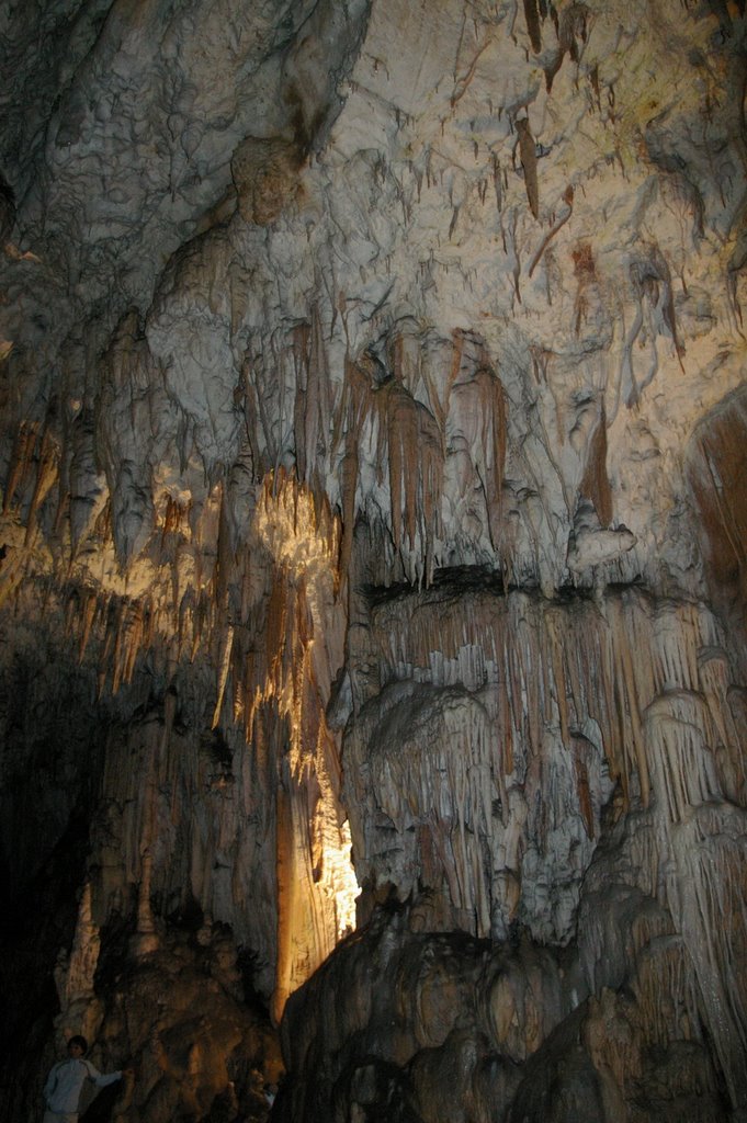 Postojna Cave by lacy