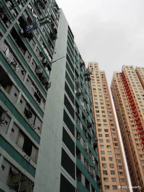 牛頭角下邨(二區) 第十四座 Block 14, Lower Ngau Tau Kok Estate (Part 2) by HK Qwerty