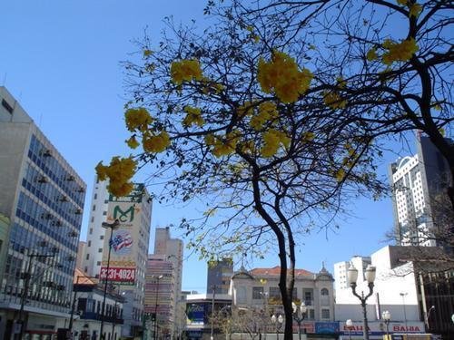 Largo do Rosario by brunoferoz