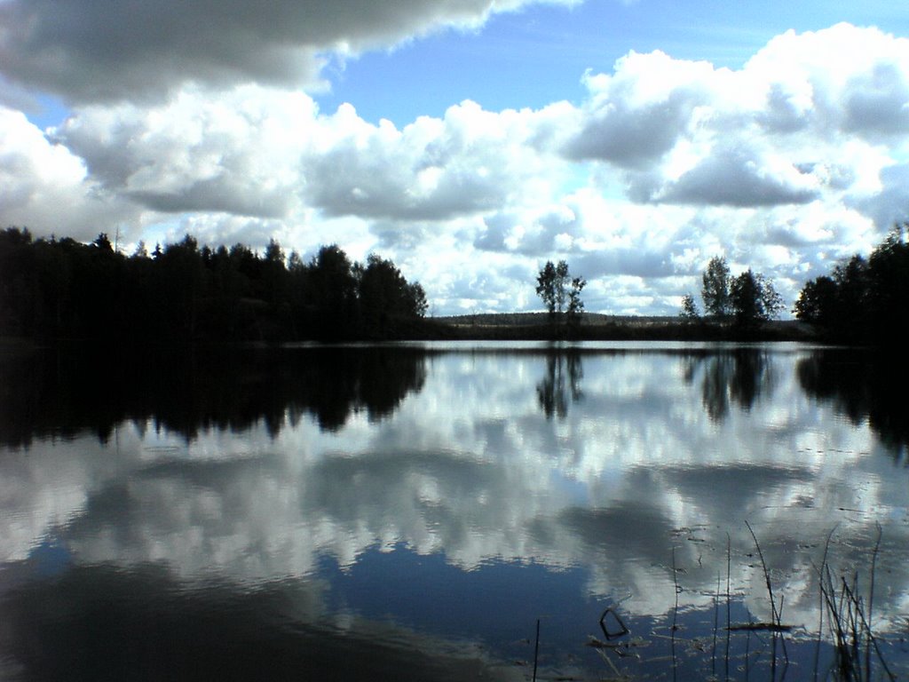 Mozhaysky District, Moscow Oblast, Russia by Алекс андр