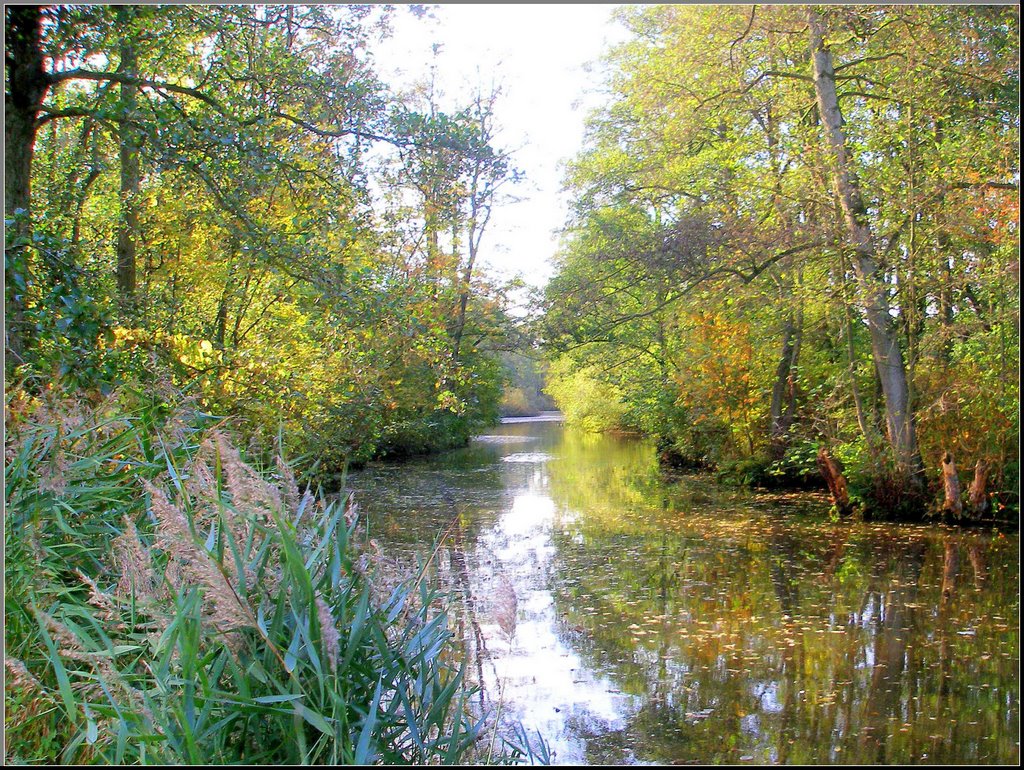 Herfst in het Friescheveen by Peter vd Berg vS