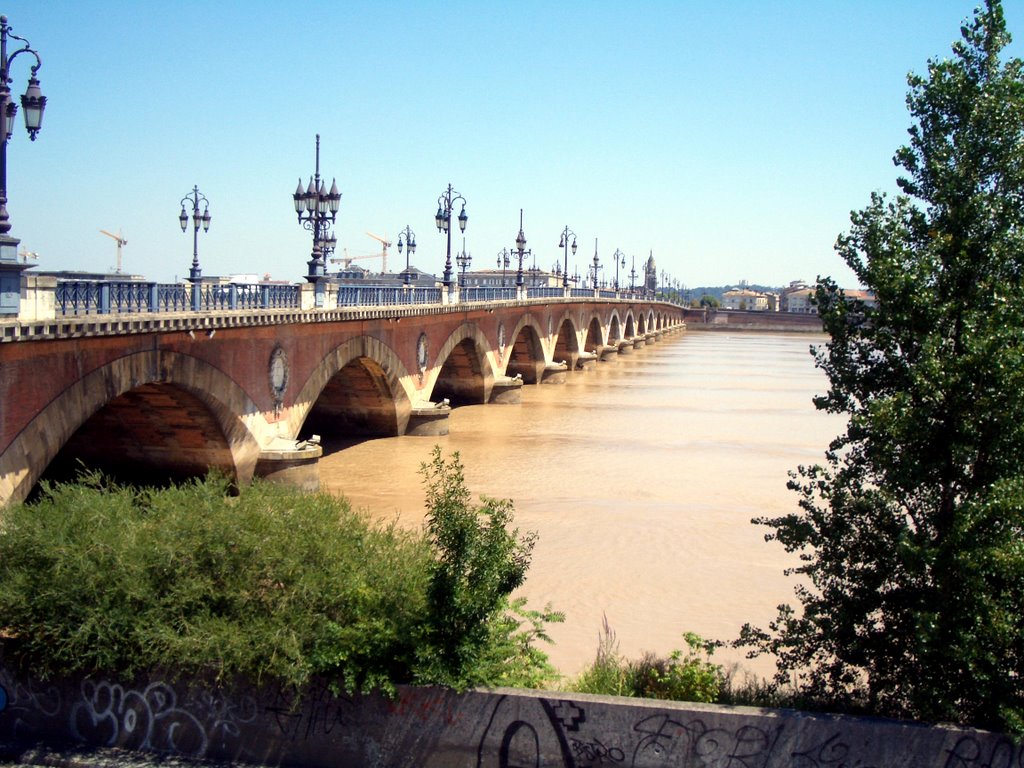 Bordeaux by Thomas Laur