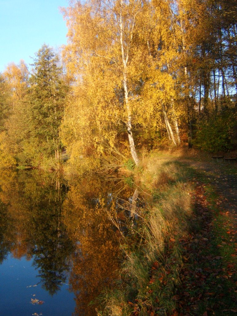 Hof, Lettenbachsee im Herbst by worai