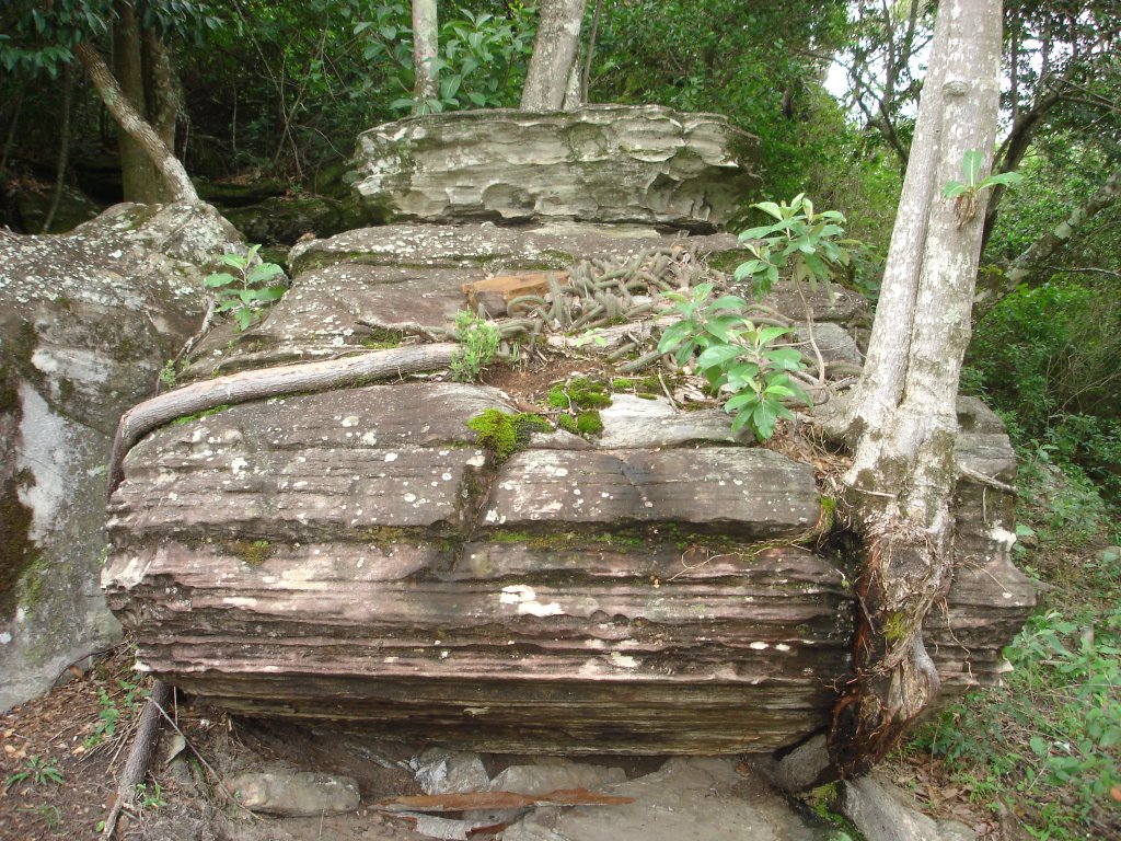 Pedra Perto Cachoeira da Fumaça by Paulo Roberto de Car…