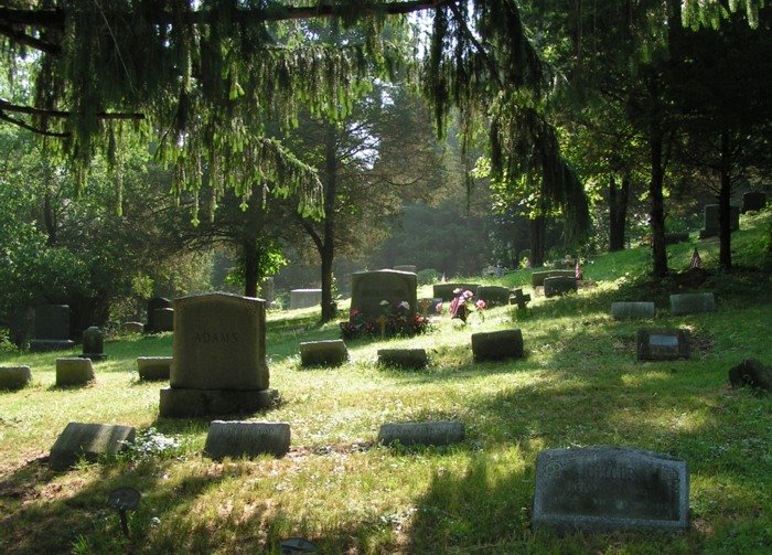 Whitehall Church Cemetery by Joanne Wilson