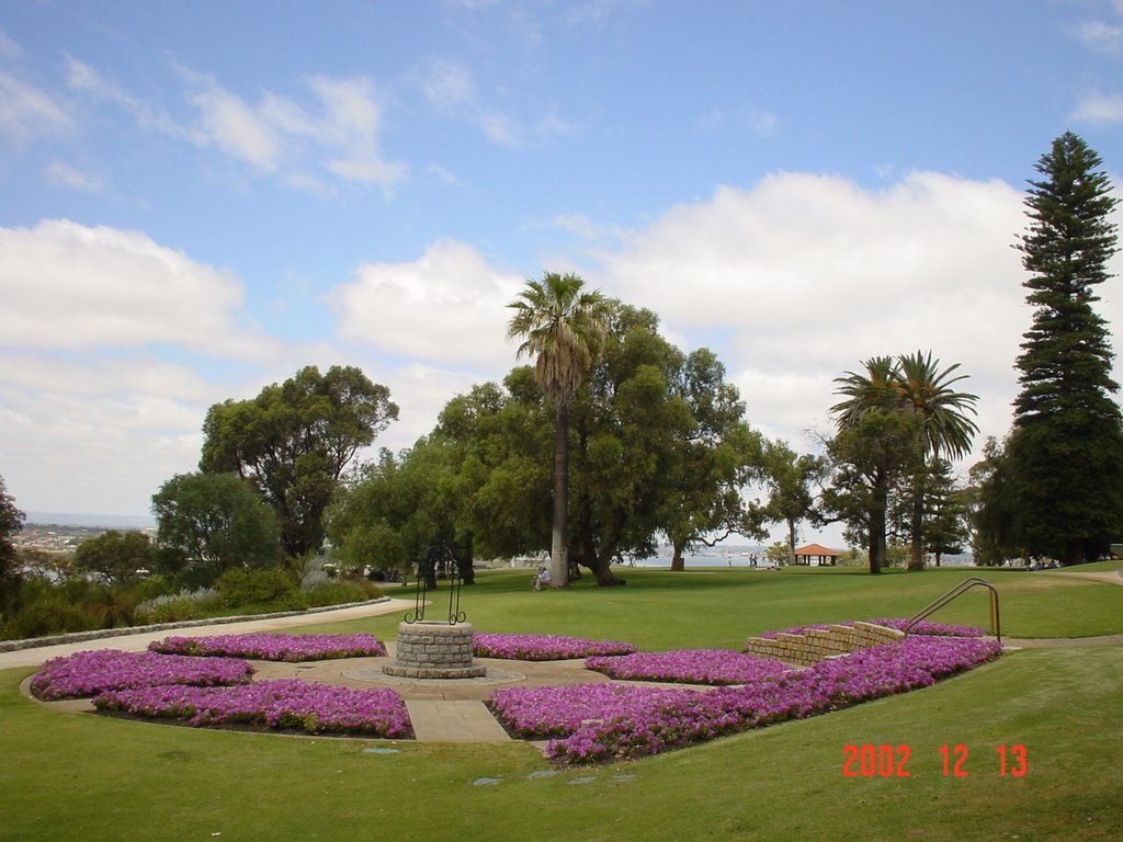 Flowers in Kings Park by Feng Tao