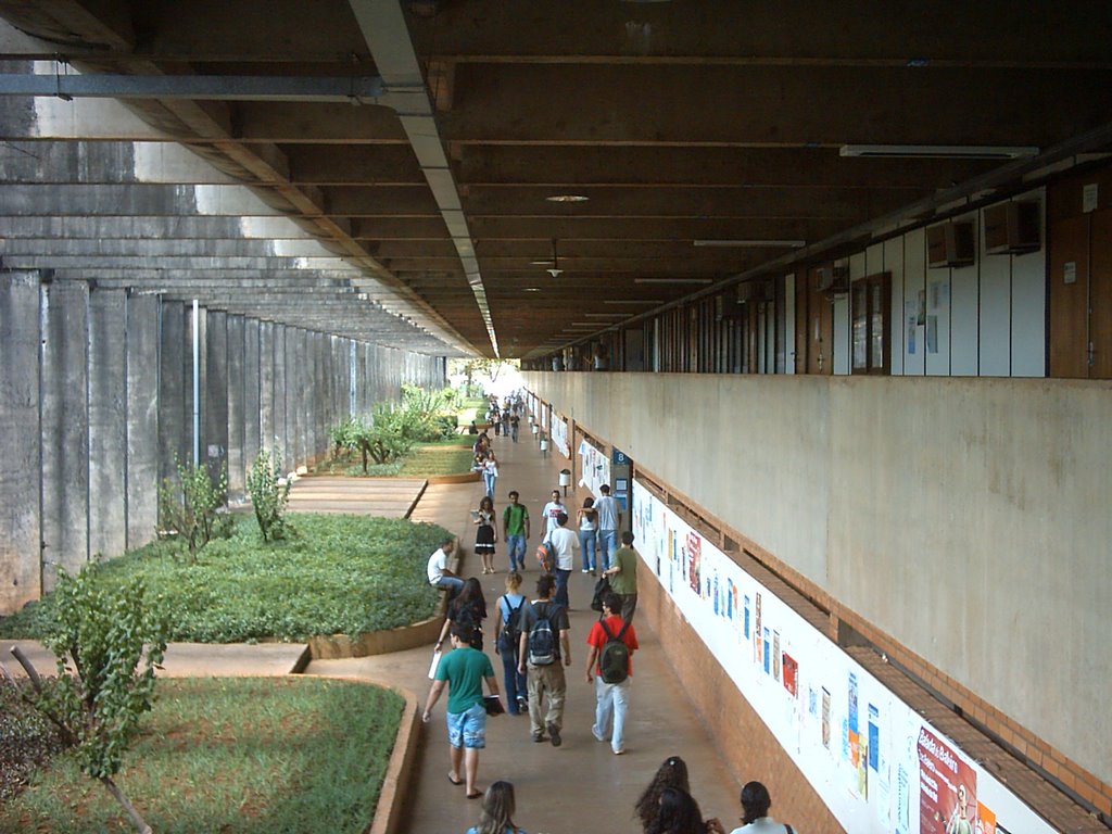 UnB - Brasília, DF, Brazil by Alcides Romão