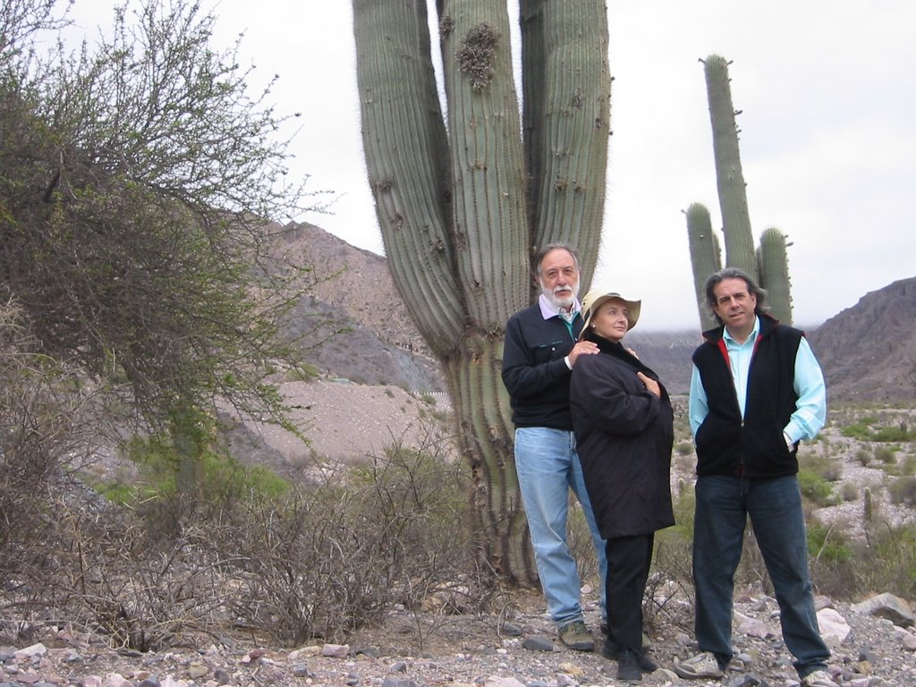 Cardones en Cuesta de Lipan cerca de Purmamarca by Jaime Ortego