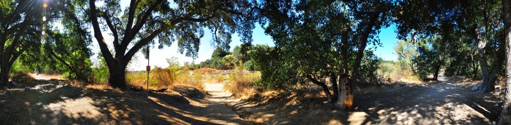 Eaton Canyon Park Trail - looking south by Johnny417