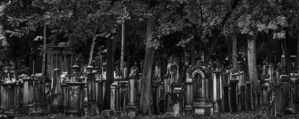 Mannheim Jüdischer Friedhof by Stefan Treitz