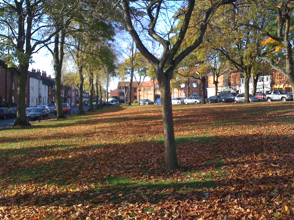 A Leafy Scene by jakehyslop