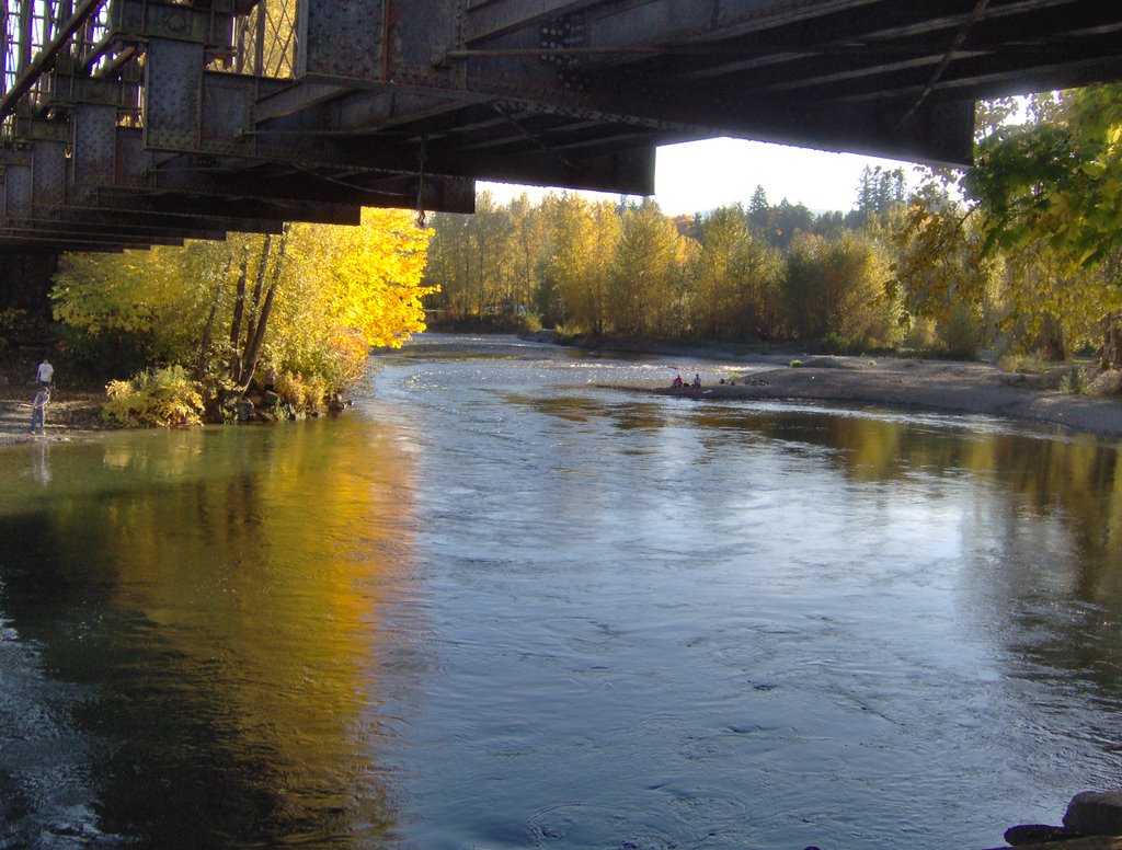 Cowichan River by Brad Heyd