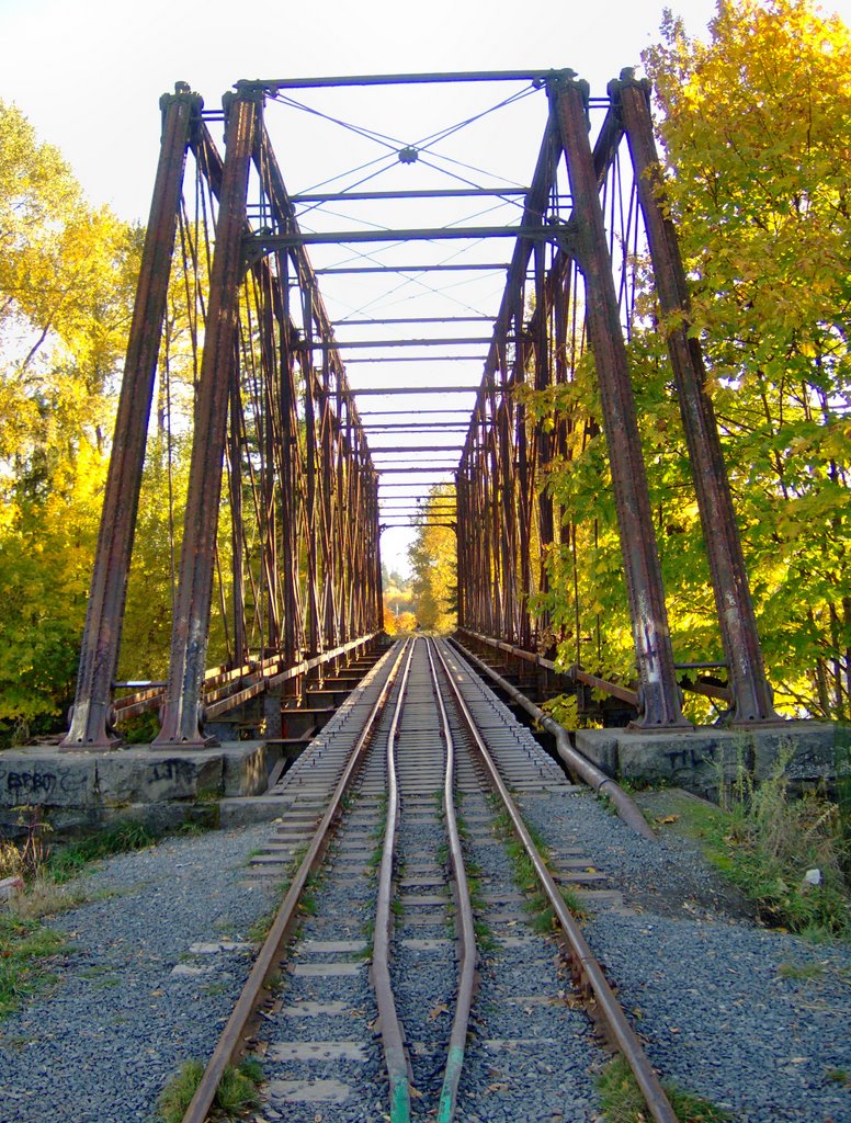 Black Bridge by Brad Heyd