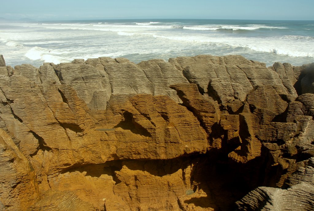 4224 State Hwy, Paparoa National Park 7873, New Zealand by Zsuzsanna Mudra