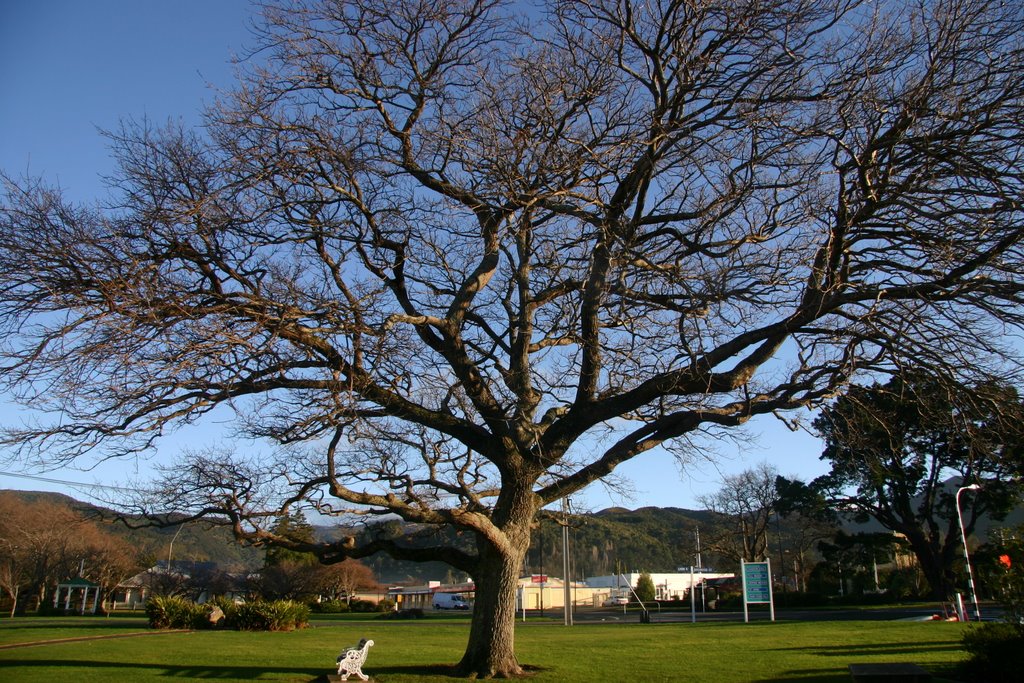 Winter Tree by Tony Reid