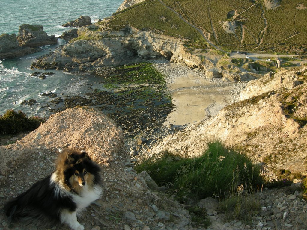 Tia at the beach by Didge Steve