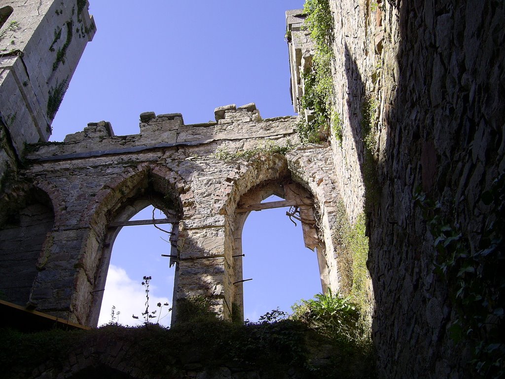 Ruine auf Castleisland by Pidinger