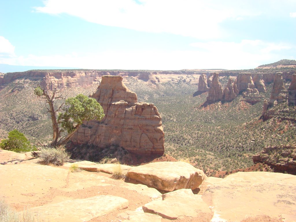 Otto's viewpoint by Ge Nielissen